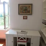 Horvath Aliz Balatonfüred